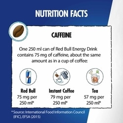 Red Bull Energy Drink 250 ml 7
