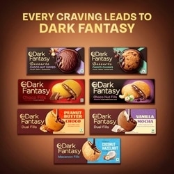 Sunfeast Dark Fantasy Sandwich Choco Creme Biscuit 79 g 6