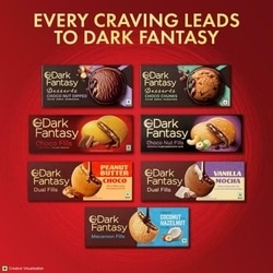 Sunfeast Dark Fantasy Choco Fills Cookies 69 g 7