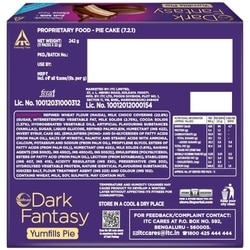 Sunfeast Dark Fantasy Yumfills Cake 242 g 2
