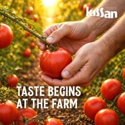 Kissan Fresh Tomato Ketchup 1 kg 5