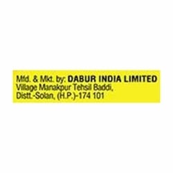 Dabur Honey Jar 650 g 11