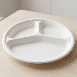 Home One Bagasse Disp 3 Compartment Plate Pack of 15