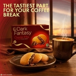 Sunfeast Dark Fantasy Choco Fills Cookie 230 g 5