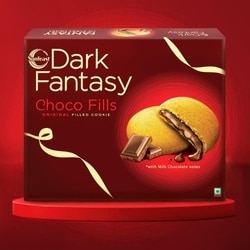 Sunfeast Dark Fantasy Choco Fills Cookie 460 g 2
