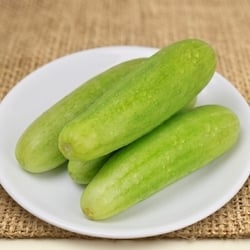 White Cucumber 500 g