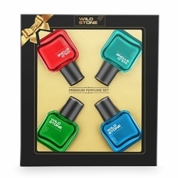 Wild Stone Premium Perfume Gift Set (4N x 30 ml)