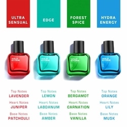 Wild Stone Premium Perfume Gift Set (4N x 30 ml) 4