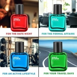 Wild Stone Premium Perfume Gift Set (4N x 30 ml) 3