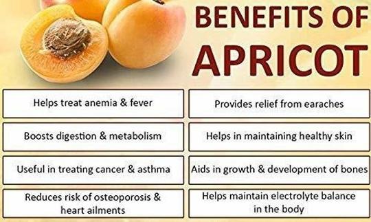 FreshoCartz Jumbo Dried Apricots Organic (Khumani, Khurmani, Khurbani, Jardalu, Prunu) High Quality (Grade - Big Size) 1 kg