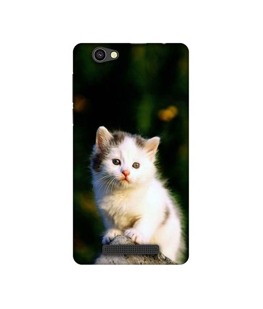 Casotec Sweet Cat Design Printed Silicon Soft TPU Back Case Cover for XOLO Era 4G