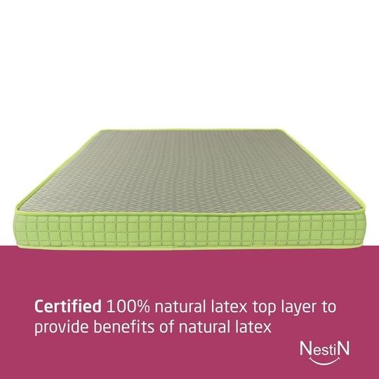 NestiN Mattress Premium Natural DUO Latex Mattress (84*66*5Inch, Queen Size)