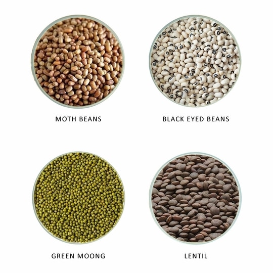 Kush Gold Mixed Whole Pulses for Sprouts / Sprouting Mix Beans (Green Gram, Moth Beans, Cowpea & Whole Red Lentils) (500g)