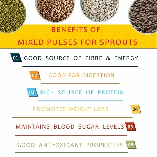 Kush Gold Mixed Whole Pulses for Sprouts / Sprouting Mix Beans (Green Gram, Moth Beans, Cowpea & Whole Red Lentils) (500g)