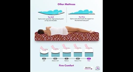 SLEEPSPA BACK SUPPORT Orthosense Cocopedic Tech. 6 Queen Mattress | 5 Years Warranty |Medium Firm
 Mattress | Coir Foam Mattress (75X66X6 Inches, Queen Size Mattress, Maroon)