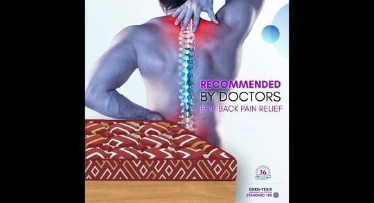 SLEEPSPA BACK SUPPORT Orthosense Cocopedic Tech. 6 Queen Mattress | 5 Years Warranty |Medium Firm
 Mattress | Coir Foam Mattress (75X66X6 Inches, Queen Size Mattress, Maroon)