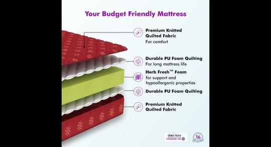 SLEEPSPA SOFT BOUNCE PREMIUM ORTHOPEDIC DIRECT FROM FACTORY3 inch Queen Mattress | 2 Years Warranty | Soft Mattress | High Resilience (HR) Foam Mattress (72X60X3 Inches, Queen Size Mattress, Maroon)