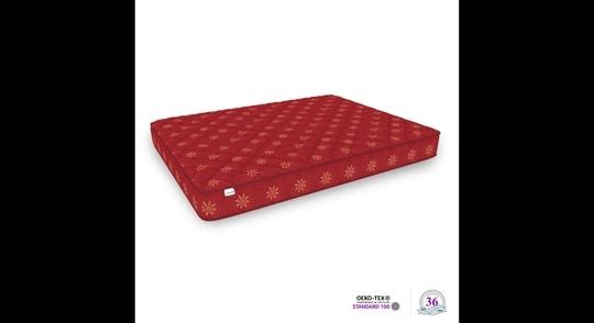 SLEEPSPA SOFT BOUNCE PREMIUM ORTHOPEDIC DIRECT FROM FACTORY3 inch Double Mattress | 2 Years Warranty | Soft Mattress | High Resilience (HR) Foam Mattress (75X48X3 Inches, Double Size Mattress, Maroon)