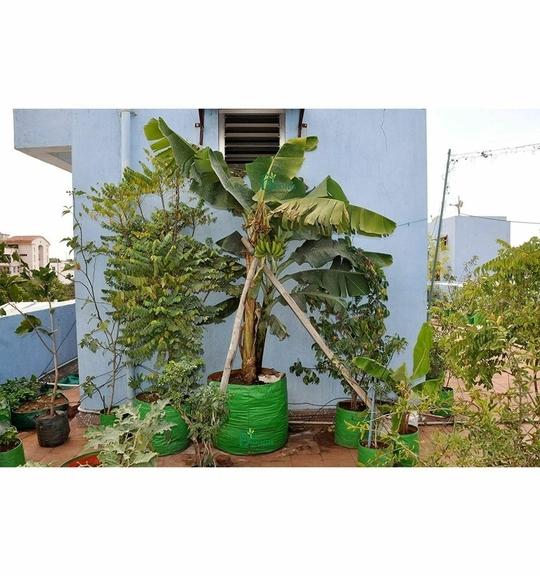 Bio Blooms Agro Polyethylene Leafy Vegetable Terrace Gardening Green Grow Bag Floor Standing Mount Type, 24 x 24 inch (pack of 4)