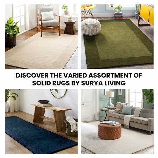 Surya Living Handwoven Mystique Beige Wool Rug Elegant and Durable for Living Room, Bedroom and Entryway Decor -2x3 Feet