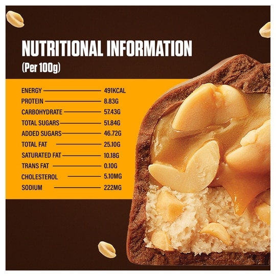 Snickers Peanut Filled Chocolate Bar 40 g