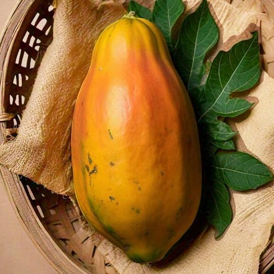 Papaya (Each) (Approx. 800 g - 1600 g)