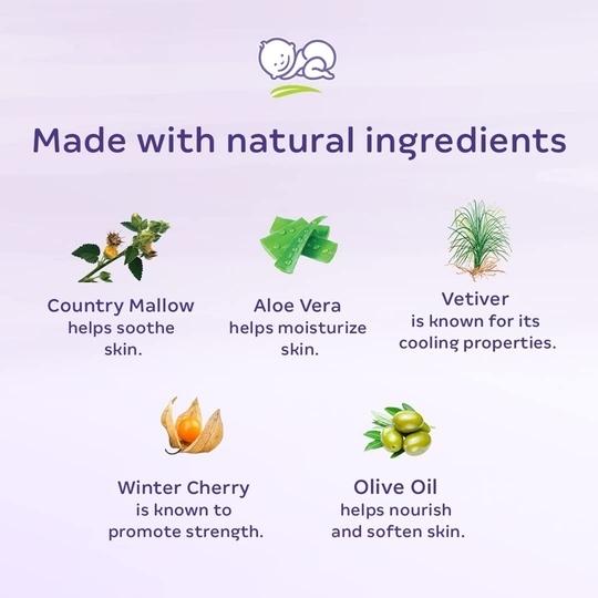 : Himalaya Baby Massage Oil 500ml | Olive & Winter Cherry | Gentle Daily Massage Care