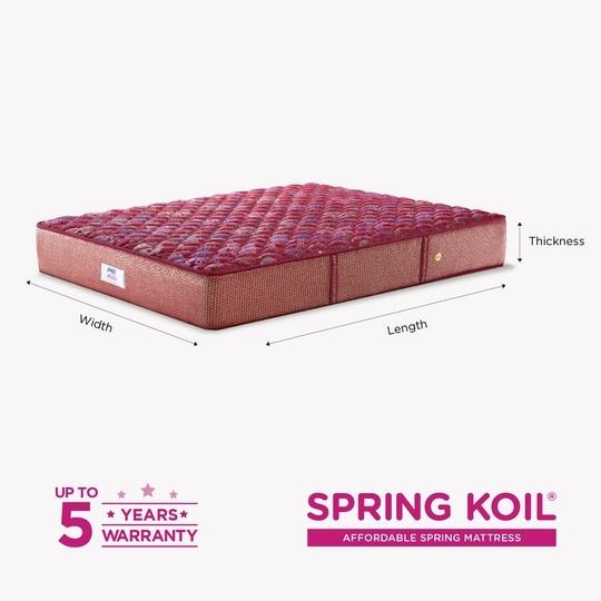 Peps Springkoil Bonnell 10-inch Single Size Spring Mattress (Maroon, 78x30x10)