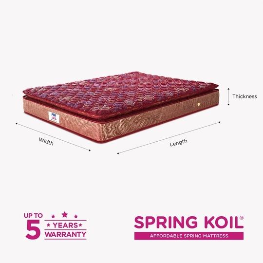 Peps Springkoil Bonnell Pillow Top 6-inch Single Size Spring Mattress (Maroon, 84x30x06)