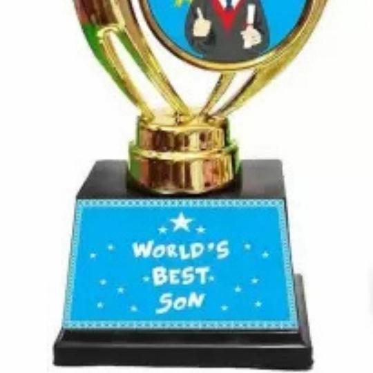 Meedoz Trophy Gift for Worlds Best Son Trophy Elegant Award for Achievements, Competitions, Corporate Events, Sports, and Celebrations | 28 cm