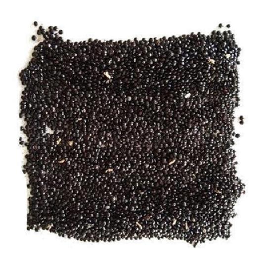 JIGNISHA SEEDS Vegetable Red Amaranths Plant Seeds 500