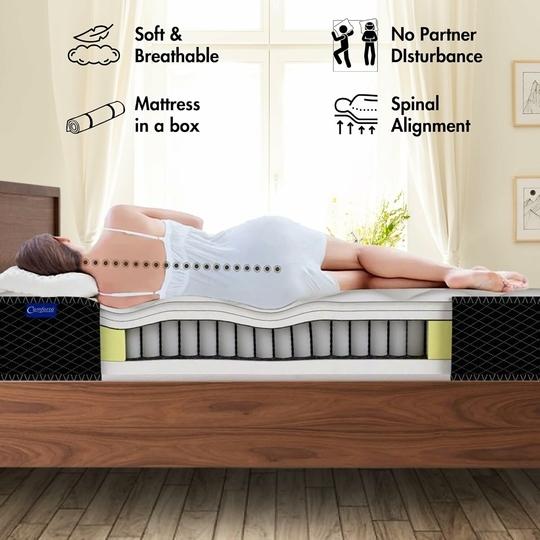 Comforto 8 Inch Pocket Spring Single Size Mattress (78x36x8 Inch, Pocket Spring) | Medium Firm Gadda | 5- Zone Motion Isolation Technology | Orthopedic | 8 Inch Mattress