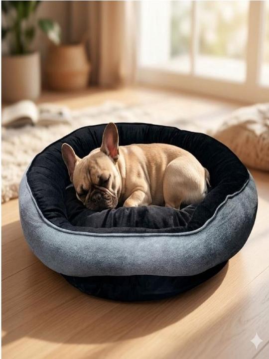 Nandu Gear Soft Velvet Red Cream Color Luxury Sofa Bed PET Bed | Dog Bed | CAT Bed | Puppies Puppy Bed | Rabbit Bed small nh_15