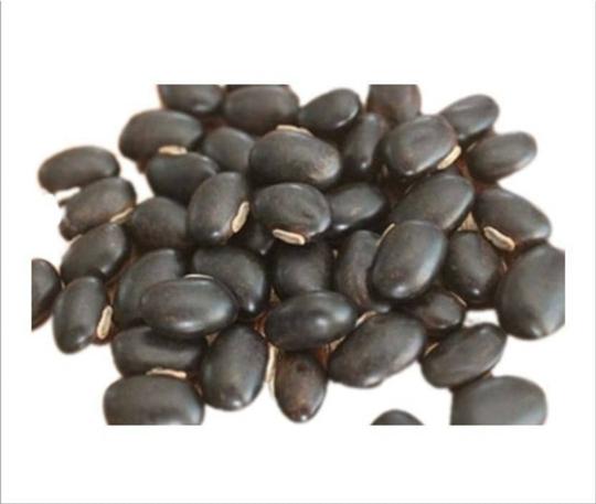 Tamransh  Black Kaunch Seeds, 1000 Seeds
