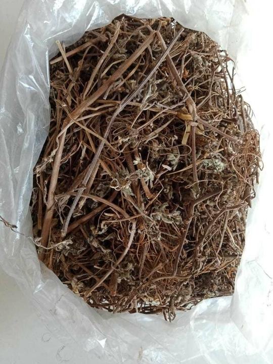 Tamransh Goyal Group Bhringraj Leaves, Eclipta Alba Seeds, Patta, False Daisy Seed, 100 Per Packet