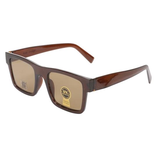 David Martin sunglasses for men & women Brown pack of 1