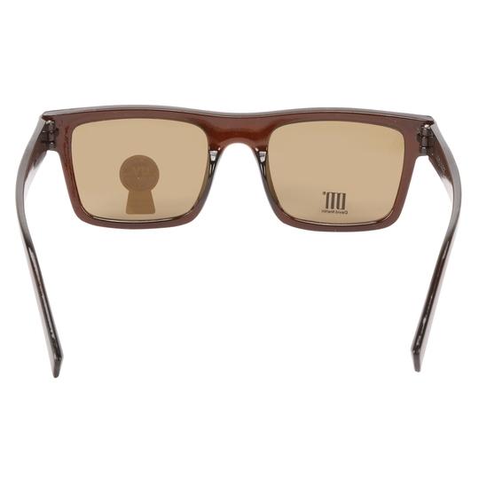 David Martin sunglasses for men & women Brown pack of 1