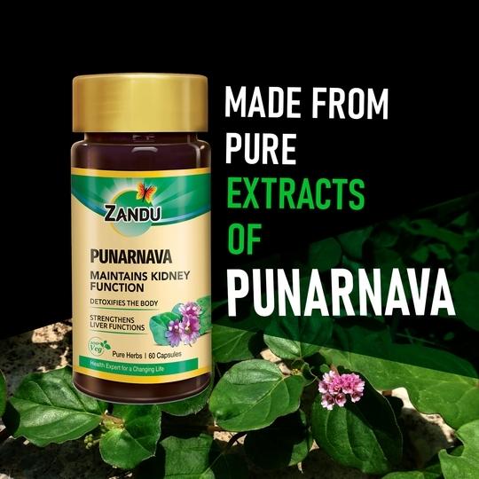 Zandu Punarnava - 60 capsules