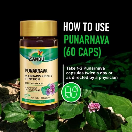 Zandu Punarnava - 60 capsules