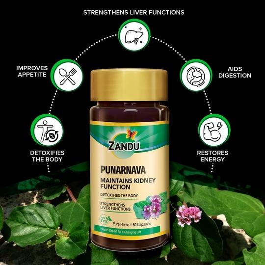 Zandu Punarnava - 60 capsules