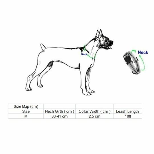 THE DDS STORE Dog Collar Leash Set Dog Training Combo Lead 10.FT Long Rope Cotton Nylon Webbing Recall Obedience Line Leash for Pet Best for Small to Medium Breed Dogs (10.Feet Leash & Collar 0.75 inch, Blue).