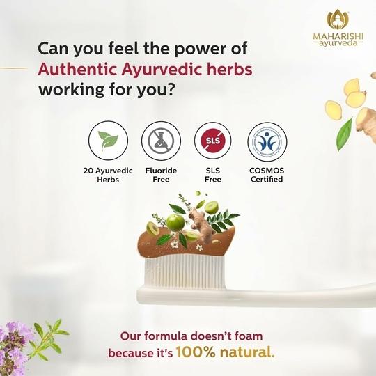 Maharishi Ayurveda Ayurdent Classic Toothpaste (75 ml)